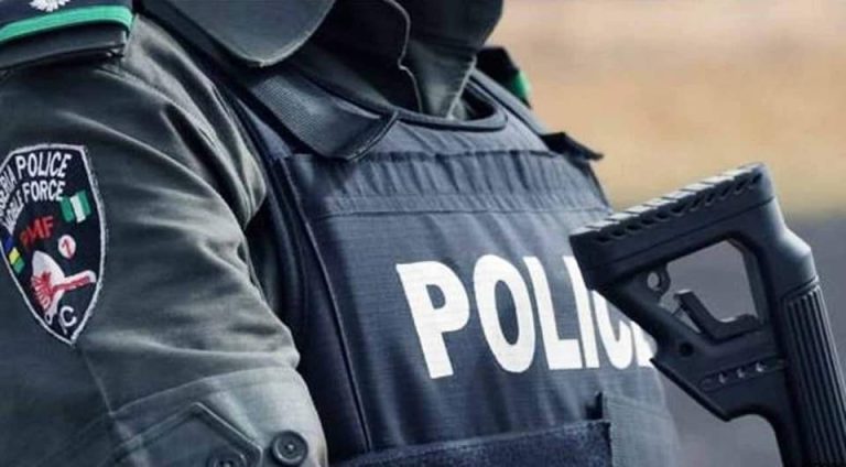 Kaduna Police kill 21 bandits in 2022