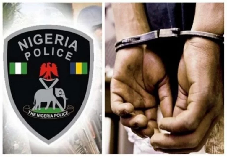 Police arrest final year student for stabbing friend to death in Bauchi