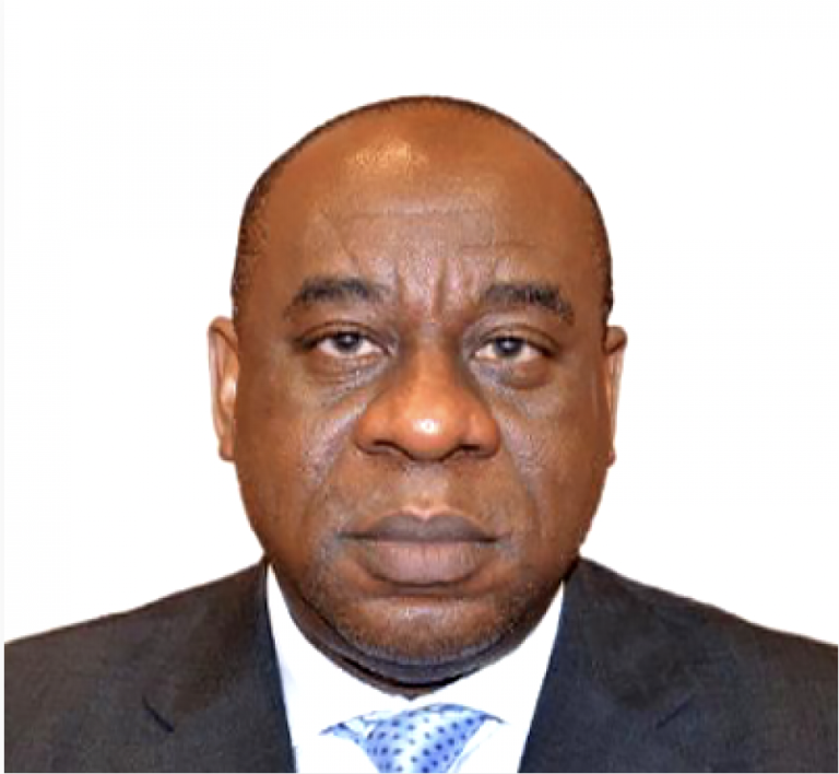Meet the new acting CBN governor: Folashodun Shonubi
